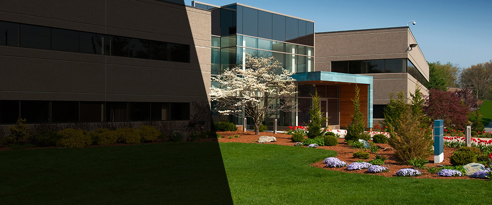 White Hall Landscapers