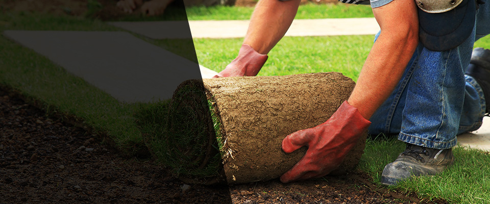 White Hall Landscapers